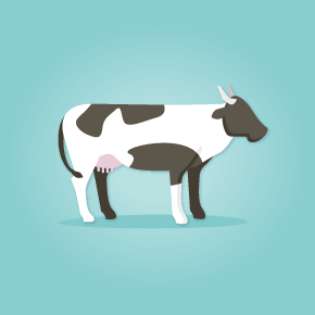 illustration of a cow