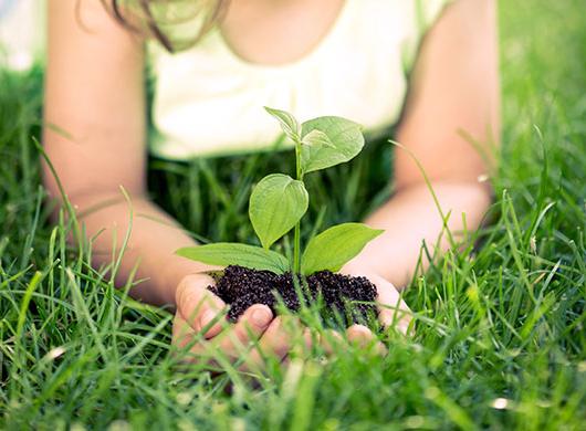photo of a little girl holding a plant in grass